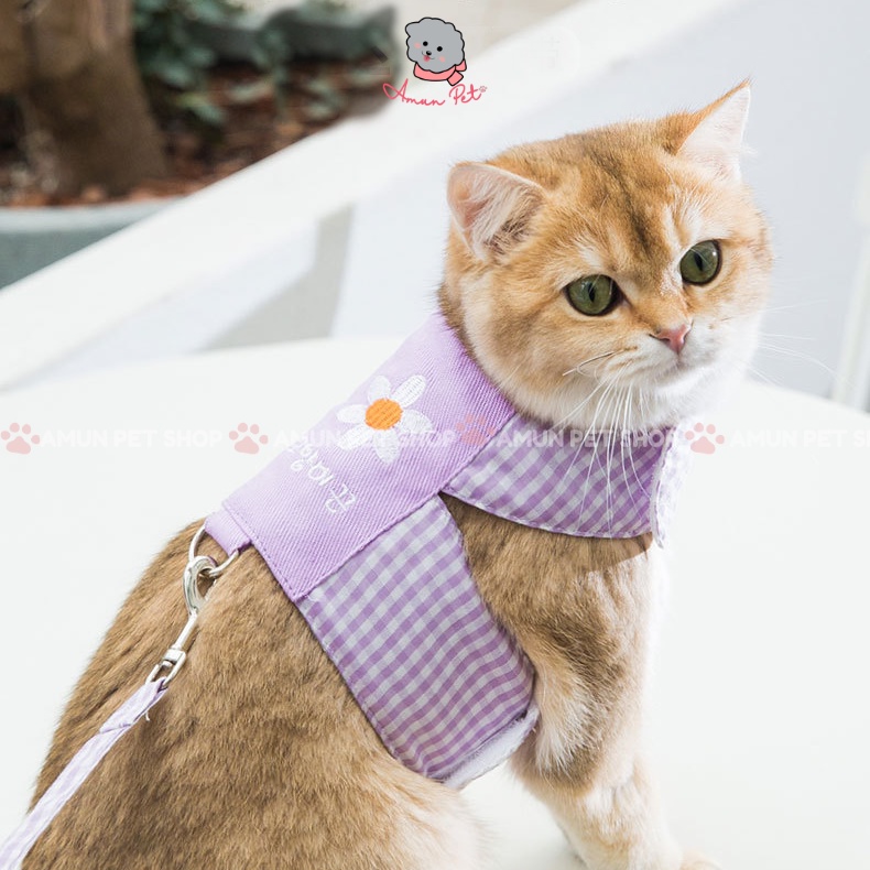 Dây Dắt Chó Mèo Đi Dạo Dễ Thương - Dây Yếm Dắt Hàn Quốc Màu Pastel Cao Cấp Amun Pet