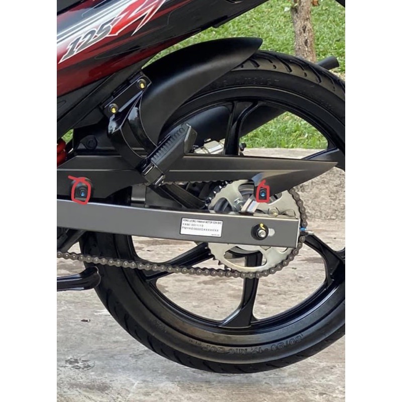 ỐC CACTE YAZ GIẢ ZIN