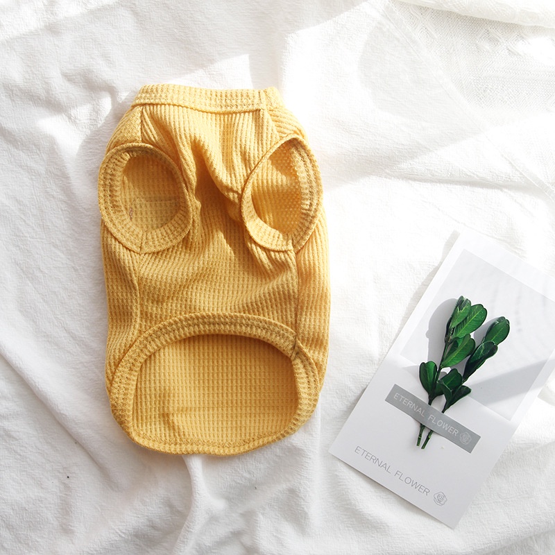 Áo Ba Lỗ In Hình Gấu Teddy Phong Cách Hàn Quốc Dành Cho Thú Cưng