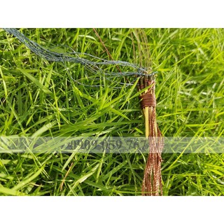 Bẫy Giò Chim Cu Gáy Mồi đất cáp 432