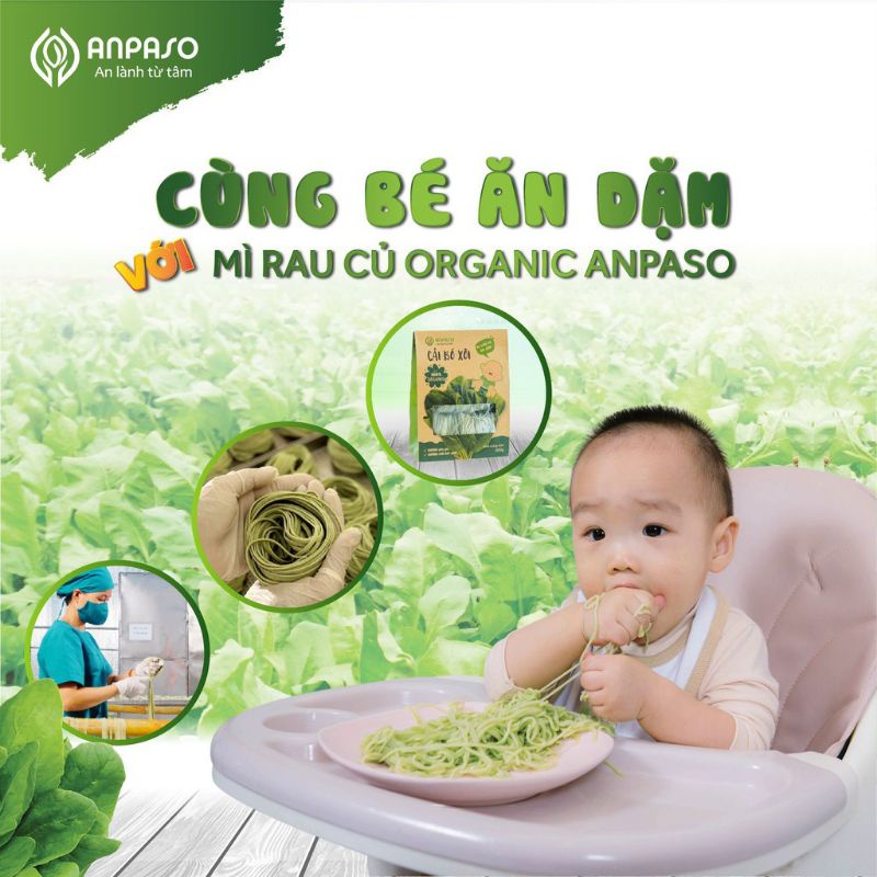 Mì Rau Củ Cải bó xôi Organic Ăn Dặm Cho Bé Hữu Cơ 300gam Anpaso