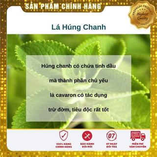 Hạt giống Rau Thơm Lùn ( Húng Chanh)