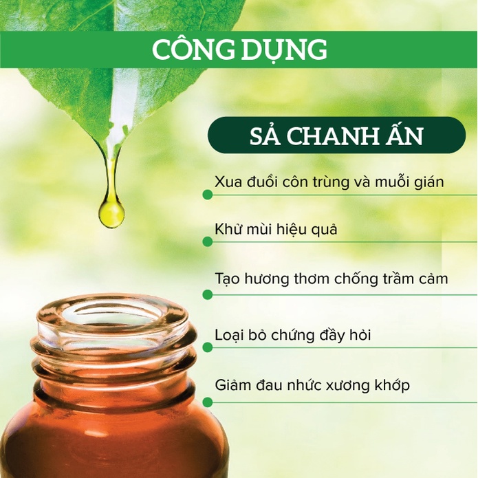 GIÁ SỈ Tinh dầu Sả Chanh Ấn Ông Tây dung tích 100ml Lemongrass Oil