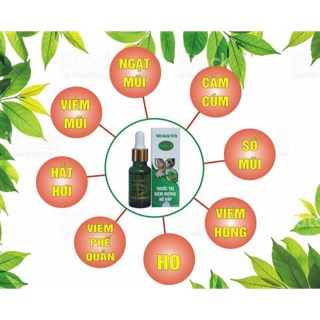 Tinh dầu trị viêm đường hô hấp