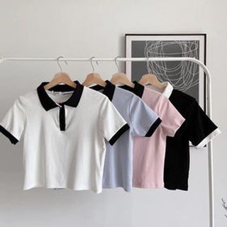 Polo croptop cổ màu - chỉ còn xanh