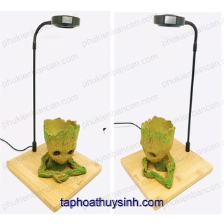 KỆ GỖ BAMBOO ĐÈN LED CHO BÁN CẠN