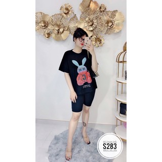 Bigsize Set bộ thun in hình thỏ S 283