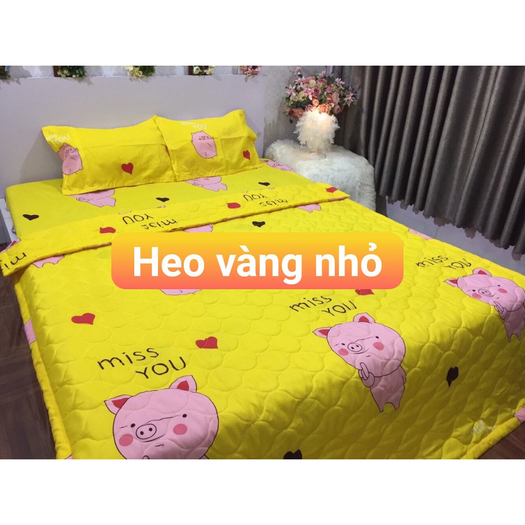 Bộ 5 Món Chăn Ga Gối Nệm Gam Màu Tươi Sáng Nổi Bật