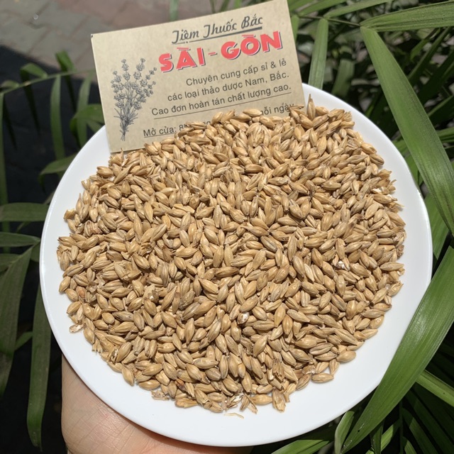 TIỂU MẠCH 100GRAM