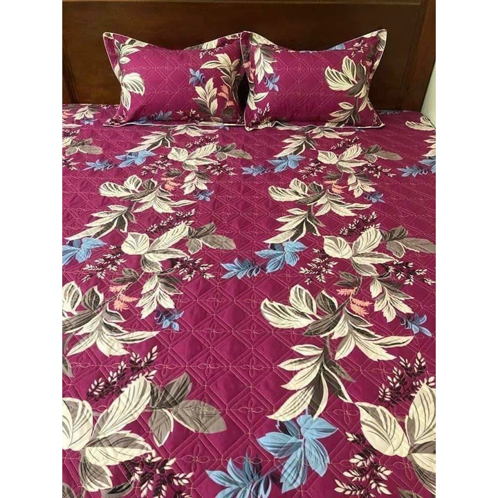 (TỔNG HỢP) Ga chun trần bông , ga giường trần bông bo chun chắc chắn đẹp 1m6x2m