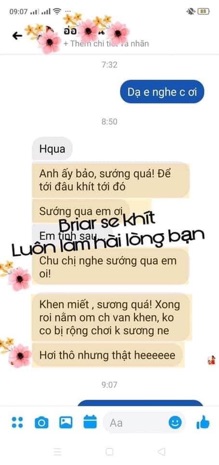 Viên đặt thảo mộc Briar