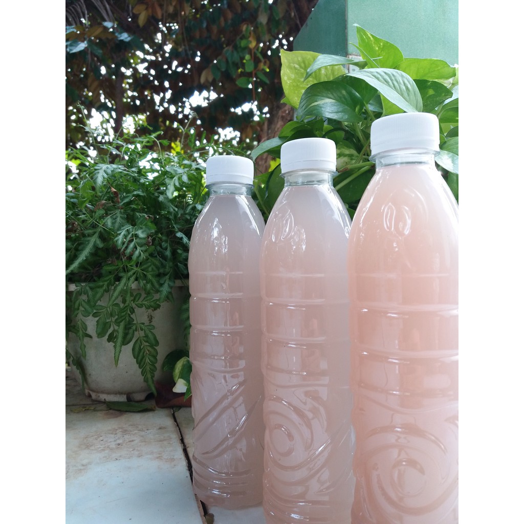 Dung dịch GE chuối 500ml- Phân bón hữu cơ, tưới lan, hoa kiểng