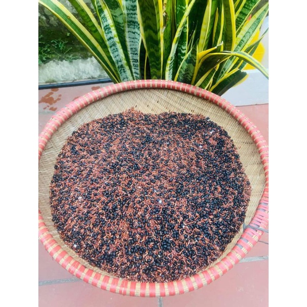 Trà gạo nứt, đỗ đen,mát gan, bổ máu