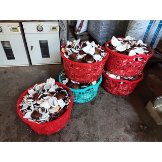 Dầu dừa nhà làm nguyên chất 100%