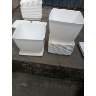 Siêu phẩm chậu nhựa vuông 16cm kèm đĩa