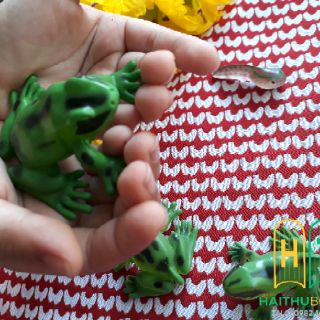 ĐỒ CHƠI MÔ HÌNH VÒNG ĐỜI ẾCH (Kèm hướng dẫn chi tiết)