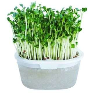 Đất dinh dưỡng cao cấp - Thể tích: 5dm3