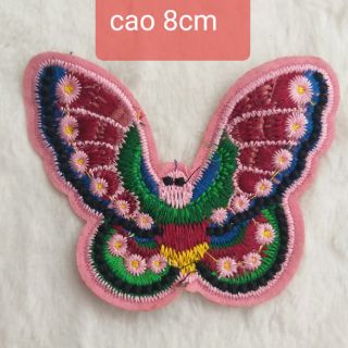 Hình ủi và hình may kim sa