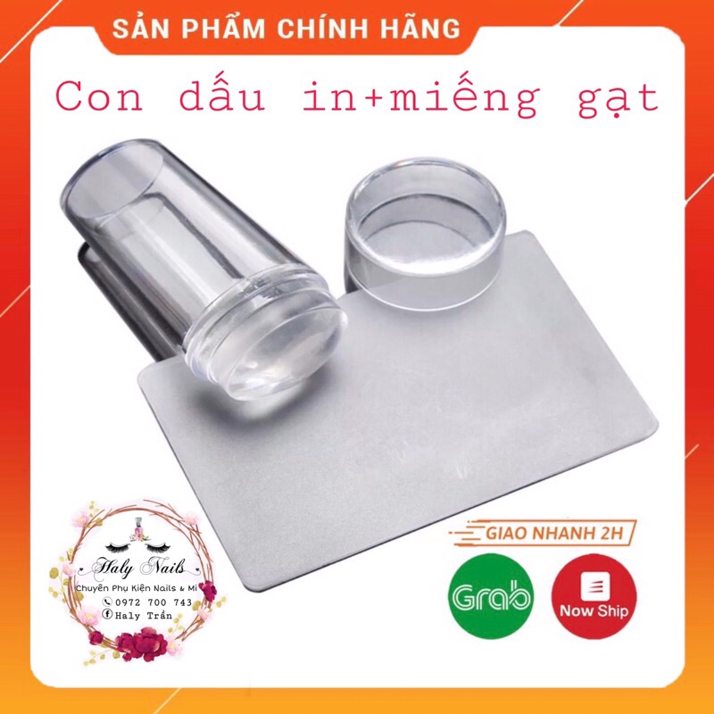 Bộ con dấu in và miếng gạt