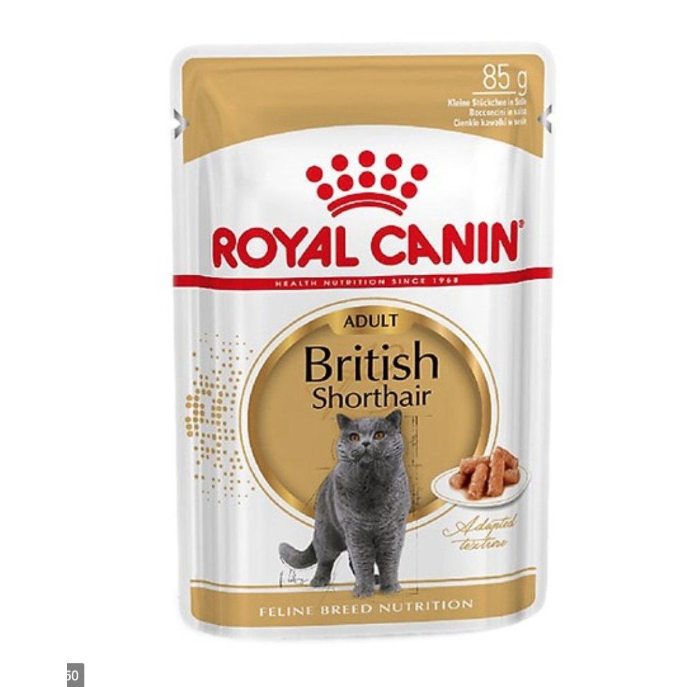 Pate Cho Mèo Anh Royal Canin - British Shorthair 85g