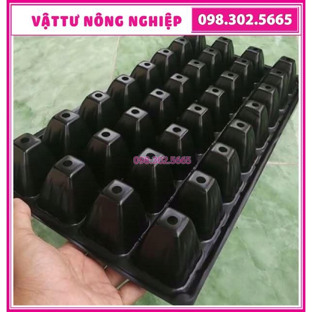 Combo 3 khay ươm hạt giống 32, 50,70, 105, 128, 200 lỗ chọn kích thước