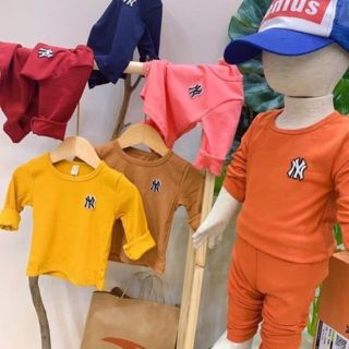 Sét 5 bộ thun cotton dài tay thu đông cho bé 5-15 kg