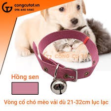 đồ chơi gặm cho mèo