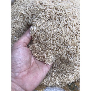 gạo lứt vàng(gạo lứt thơm)