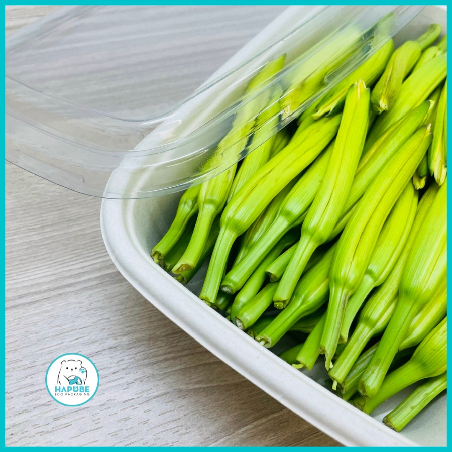 Combo 50 hộp bã mía chữ nhật 790ml BHZ006