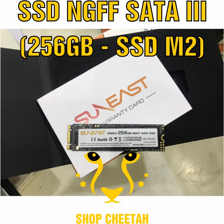 Ổ cứng SSD NGFF SATAIII SunEast 256GB nội địa Nhật Bản – CHÍNH HÃNG – Bảo hành 3 năm – M2 Sata3 SSD chính hãng