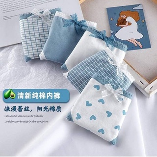 Set 5 quần chip chất cotton