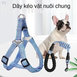 PChó chống cháy nổ dây đai có thể thu vào dây nịt để đi bộ Dây cho chó lớn, vừa và nhỏ dây xích cổ cho chó đồ dùng cho v