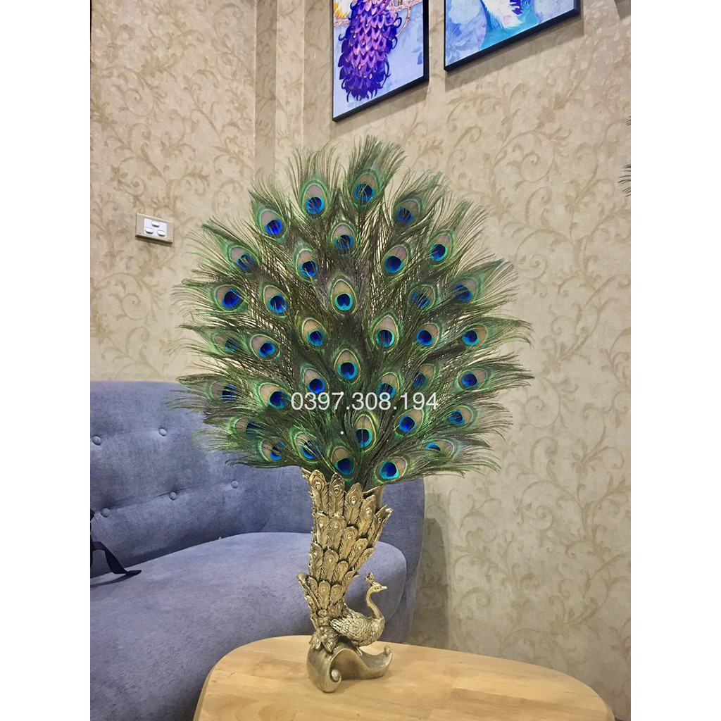 Lông công phong thủy Loại 2 cành dài ~80~100cm mắt lông rộng 2~4cm | BigBuy360 - bigbuy360.vn