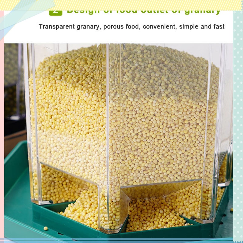 Dụng Cụ Đựng Thức Ăn Cho Chim Treo Ngoài Trời Tiện Dụng