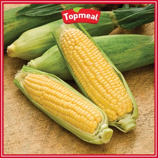 HCM - Bắp Mỹ Topmeal (3 trái/túi) - [Giao nhanh TPHCM]