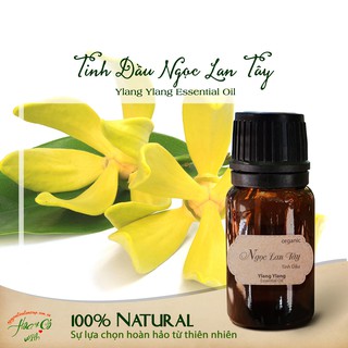 Tinh Dầu Ngọc Lan Tây Hữu Cơ ( Organic Ylang Ylang Essential Oil )
