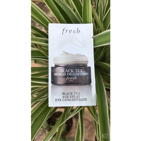kem mắt fresh black tea age- delay eye concentrate 1,5ml