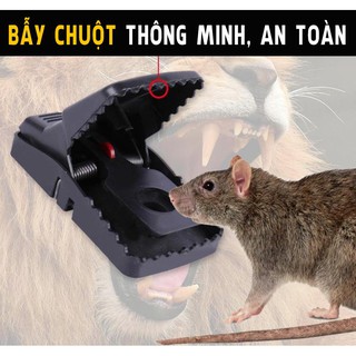 BẪY CHUỘT HÀM ẾCH THÔNG MINH giúp bắt chuột hiệu quả