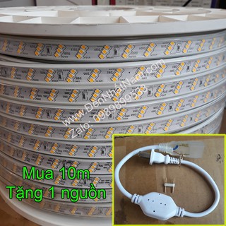 Combo 10m Led Dây, 3 hàng, mắt led 2835, tặng 1 nguồn