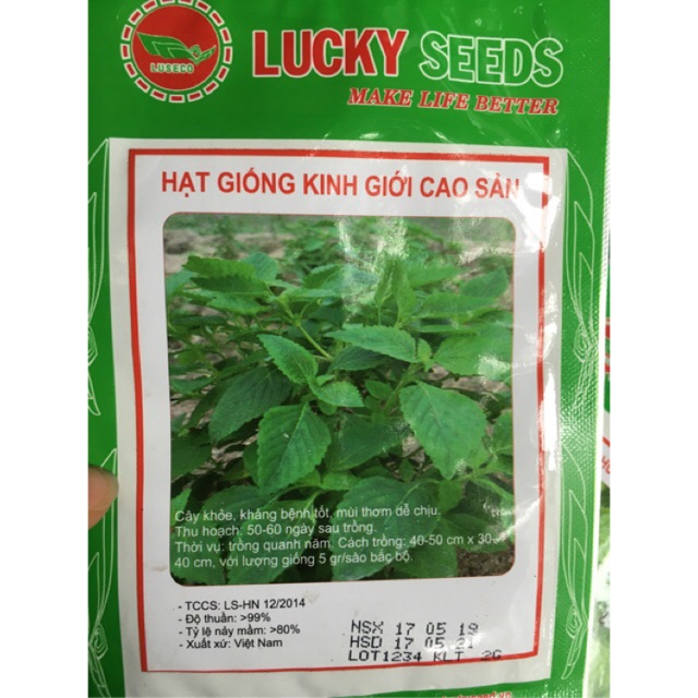 Hạt giống rau kinh giới
