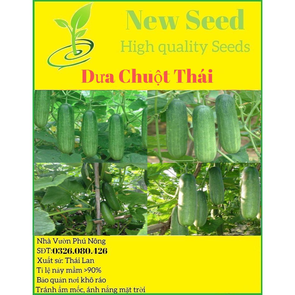 Hạt giống dưa chuột thái F1 quả lớn giòn ngọt dễ trồng kháng sâu bệnh (gói 200gram, 500gram,1kg)