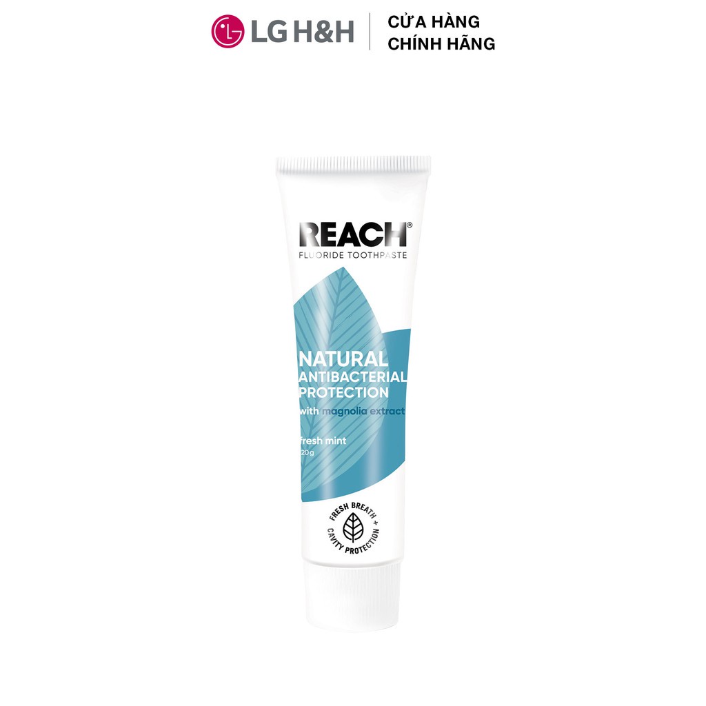 Kem Đánh Răng Kháng Khuẩn Reach Flouride Mint 120G GomiMall