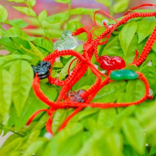 Sỉ 10 dây chỉ đỏ hồ ly may mắn