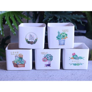 Chậu sứ trồng cây cảnh để bàn, cây nội thất, cây hoa kiểng, cây bonsai hình vuông