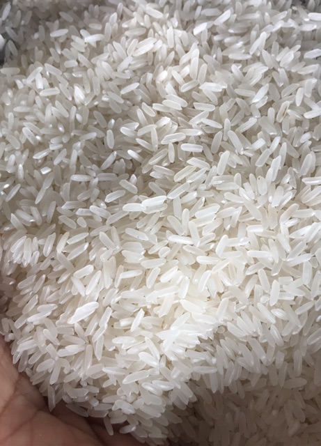 Gạo Tám Thái lan hiệu con én đỏ nguyên bao 10 kg giao sỉ HN | BigBuy360 - bigbuy360.vn