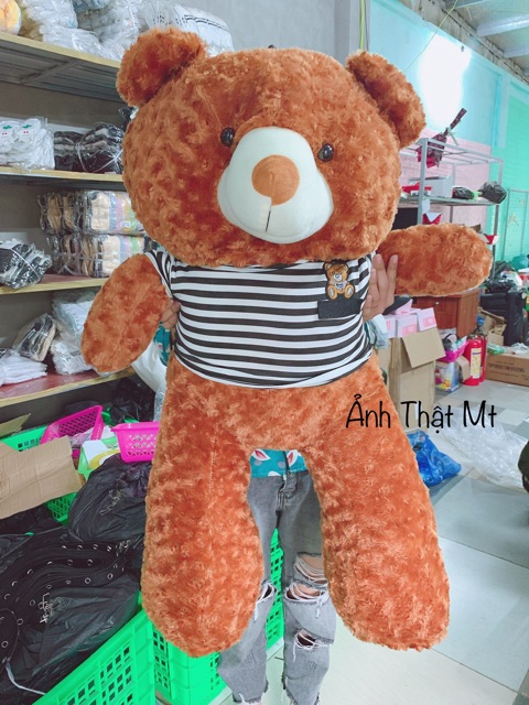 Gấu Teddy Cao Cấp 💖 FREESHIP 💖 Gấu Bông Teddy Khổ Vải 1M,1M2,1M5,1M7 Hàng VNXK Chất Đẹp