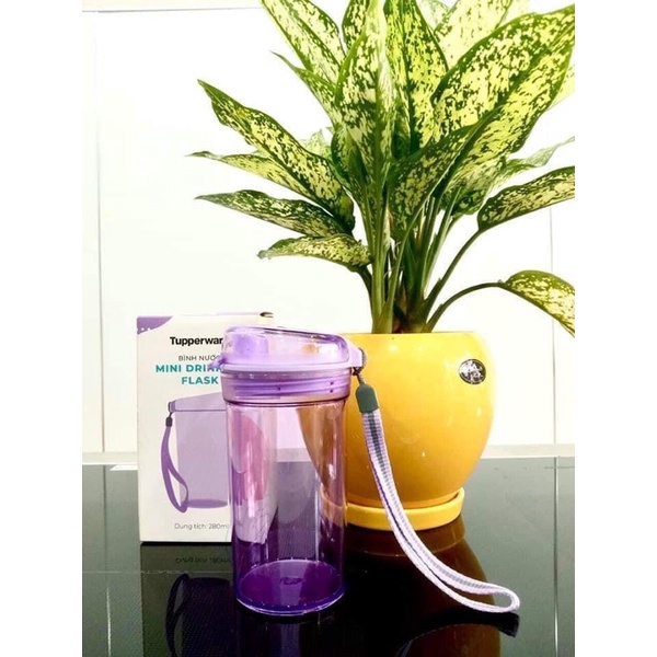 Bình nước mini 280ml tupperware