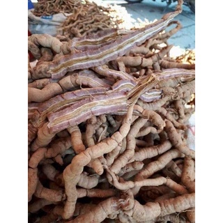 Ba Kích Tím Tươi 1kg
