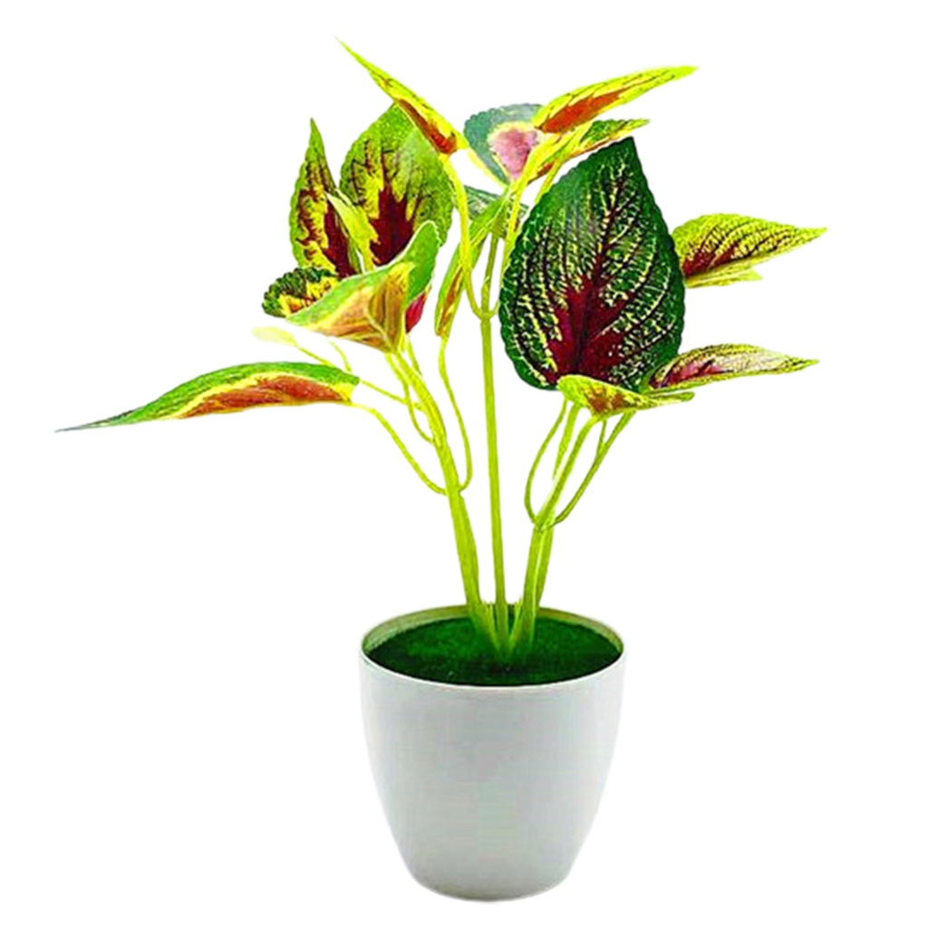 Chậu cây giả 5 kiểu tùy chọn trang trí nhà cửa