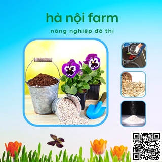 Đá perlite trân châu siêu nhẹ - Túi 10Lit